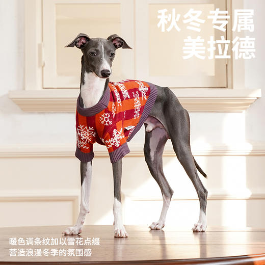 zeze雪花热可可宠物针织衫-B 商品图3