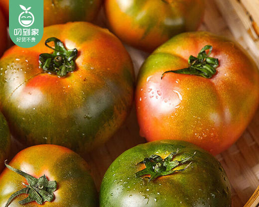 漳州盐碱地水果草莓番茄/1份（1kg±50g） 商品图1