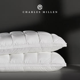 CM加拿大进口4Dbox白鹅绒枕