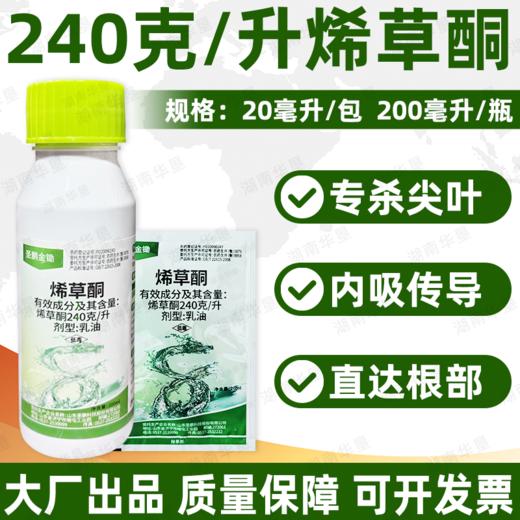 圣鹏金锄240克/升烯草酮除牛筋草狗尾巴草一年生禾本科杂草除草剂 商品图0