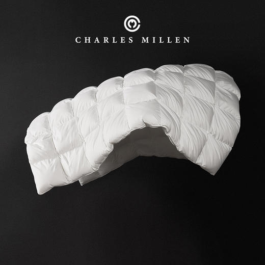 【预售 10 天】CM加拿大进口大白鹅加厚冬被 商品图1