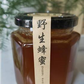 纯天然野生蜂蜜 500克/瓶