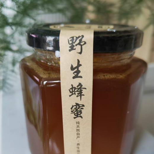 纯天然野生蜂蜜 500克/瓶 商品图0