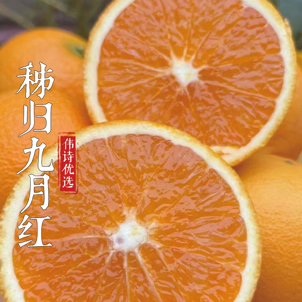 伟诗优选 | 秭归九月红