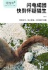 嘻趣喵猫砂系列 商品缩略图8