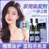 【一梳就可以染发】韩方五谷FIVE CEREAL´S易梳彩 植物染发剂 无需调配一梳上色 减龄百搭 500ml/瓶 商品缩略图0