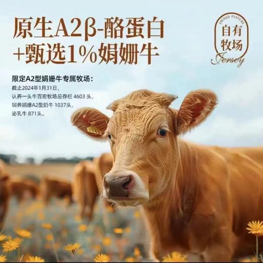 认养一头牛梦幻盖A2娟姗纯奶250mL*10入
一提装 商品图2