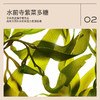 茉珂多肽舒颜柔嫩水 170ml 商品缩略图3