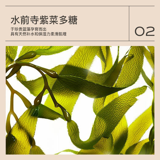 茉珂多肽舒颜柔嫩水 170ml 商品图3