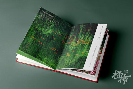 《杭州历2025》放大杭州的53个细节，带你感受杭州肌理，三款冰箱贴随机附赠 商品图4