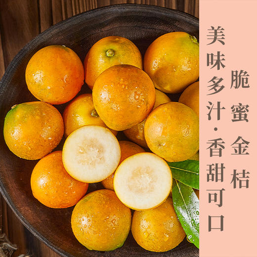 脆蜜金桔 果形超大   纯甜多汁   饱满光滑  皮薄无渣  皮脆肉嫩   礼盒包装  送礼自吃都合适 商品图1