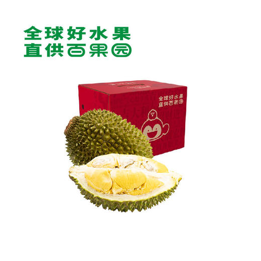 百果园大芭冷冻猫山王（D197）榴莲肉100g*4盒【分仓直发，72小时发货，周末节假日不发货】 商品图0