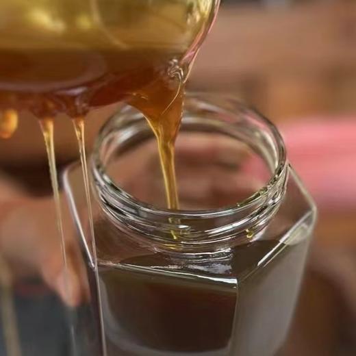 纯天然野生蜂蜜 500克/瓶 商品图3