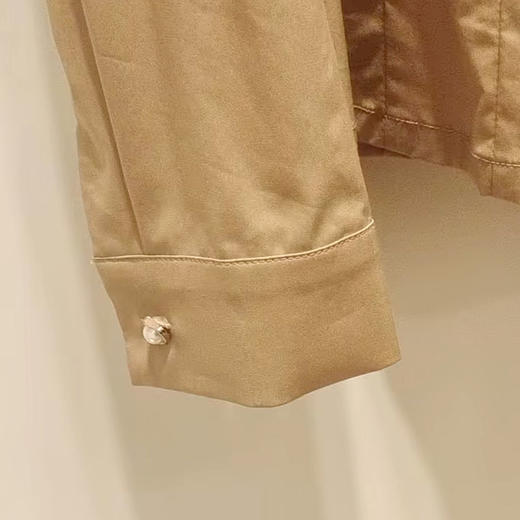 VIVIAN LIU薇薇安刘R2413002梅春女装新款时尚小翻领正肩长袖衬衫 商品图3