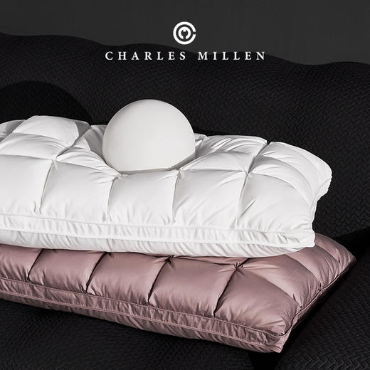 CM加拿大进口4Dbox白鹅绒枕 商品图2