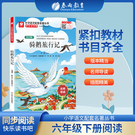 快乐读书吧 六年级(下) 骑鹅旅行记(练习版) 商品图0