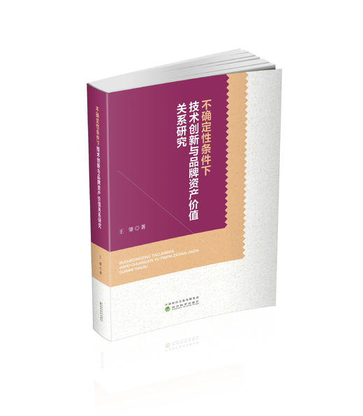 不确定性条件下技术创新与品牌资产价值关系研究 商品图0