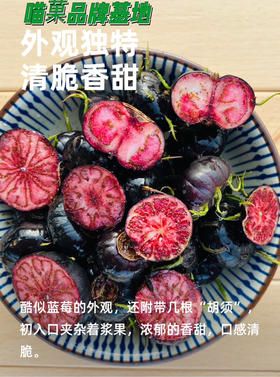 喵菓基地～红果参蜘蛛果（礼盒12盒装）包邮