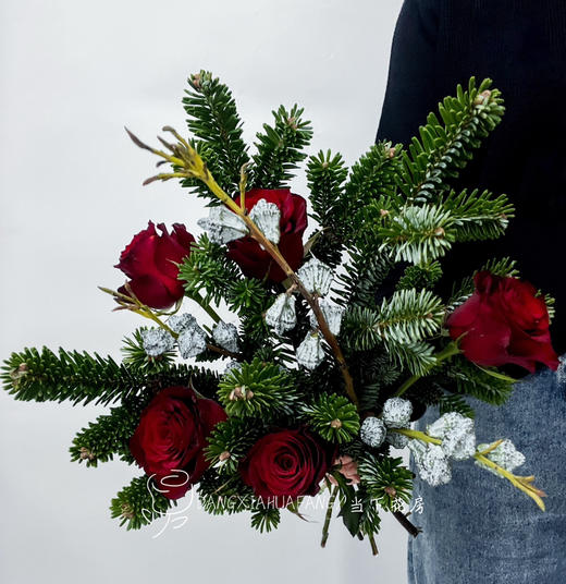 【圣诞颂歌】诺贝松5小支（侧枝）+红玫瑰5支+尤加利果2小支 商品图6