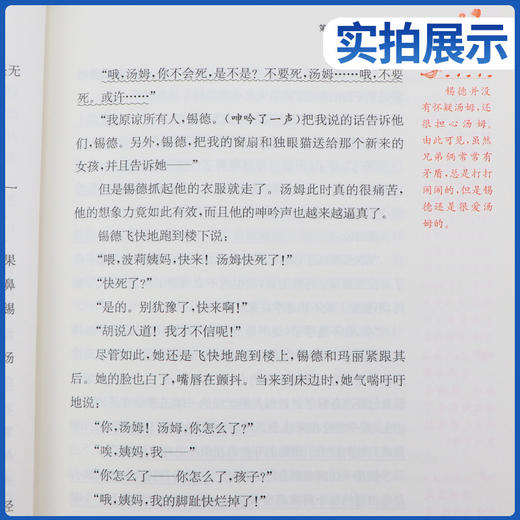 快乐读书吧 六年级(下) 汤姆·索亚历险记(练习版) 商品图3