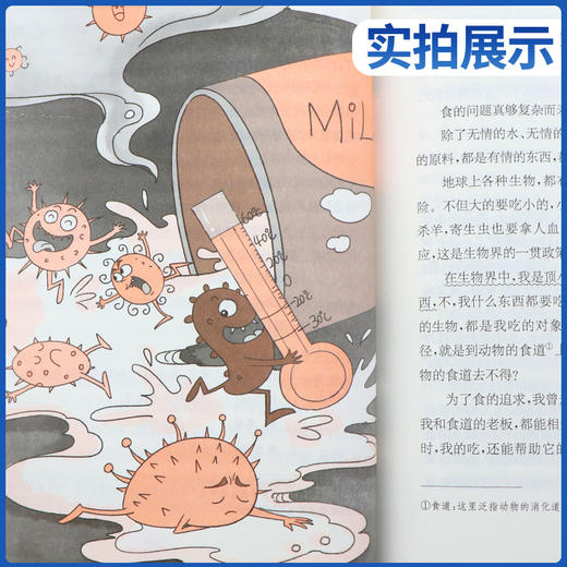 快乐读书吧 四年级(下) 灰尘的旅行(练习版) 商品图3