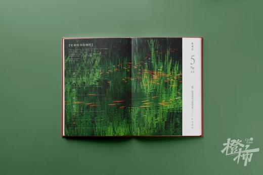 《杭州历2025》放大杭州的53个细节，带你感受杭州肌理，三款冰箱贴随机附赠 商品图12