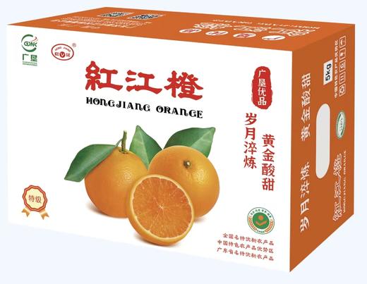 L红江橙（特级）5kg 商品图0