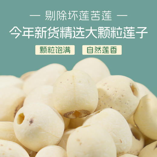 （素食星球）人间喜物有机莲子去芯白莲煲粥煲汤食材 商品图6