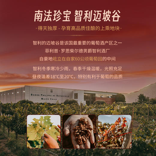 【菲利普·罗斯柴尔德男爵集团出品】红盾珍藏黑皮诺干红葡萄酒 智利迈坡谷 13%vol 商品图4