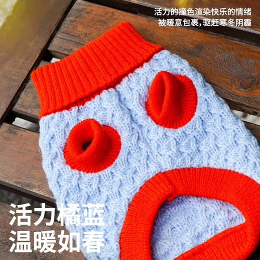 zeze撞色绞花宠物针织衫-B 商品图3