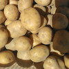 云南良道有机黄心土豆 沙面粉糯马铃薯顺丰发货 商品缩略图3