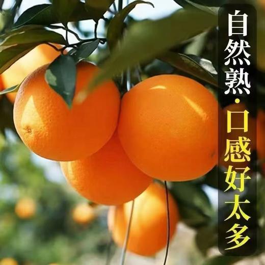 【江西赣南脐橙】新鲜现发，果汁丰富，口感清爽，多汁化渣 ，果汁含量丰富，达到了55%以上，喝上一口，满口都是鲜甜的橙汁 坚持自然成熟 商品图1