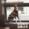 zeze细条纹宠物针织毛衣-B 商品缩略图1