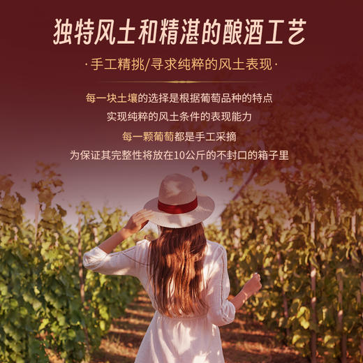 【菲利普·罗斯柴尔德男爵集团出品】红盾珍藏黑皮诺干红葡萄酒 智利迈坡谷 13%vol 商品图8