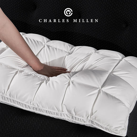 CM加拿大进口4Dbox白鹅绒枕 商品图1