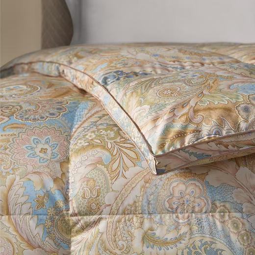 ROYALCOVER/罗卡芙  匈牙利鹅绒被兰特森林春秋被/冬被 商品图1