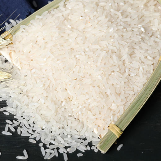 塞翁福 五常米礼盒5Kg/盒【CZ】 商品图3