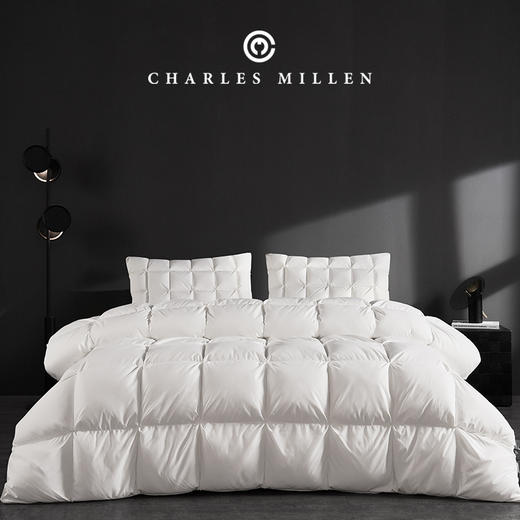 【预售 10 天】CM加拿大进口大白鹅加厚冬被 商品图2