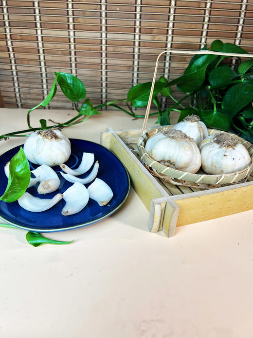 良食本事｜兰州生态百合 9年（1斤/包） 商品图4