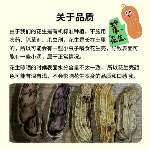 云南特产有机七彩花生 晒干带壳花生 商品图5