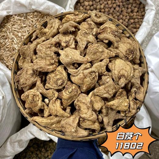 白及  白芨片   白及个子 常用规格 小白及切片 商品图2