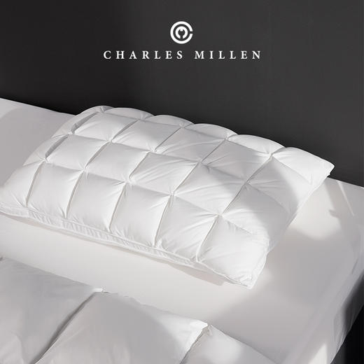 CM加拿大进口4Dbox白鹅绒枕 商品图3