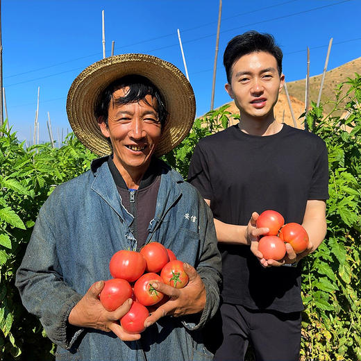 特惠活动『攀枝花露天沙瓤番茄』自有番茄园，沙瓤细腻，果肉肥厚 商品图1
