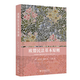 欧盟民法基本原则 [德]诺贝特·赖希 著  金晶 译 北京大学出版社