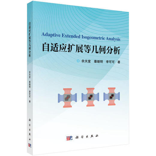 自适应扩展等几何分析 商品图0