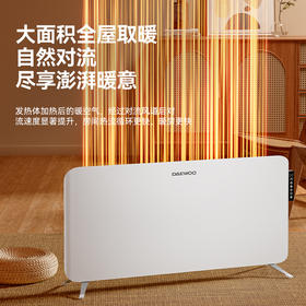 韩国大宇大面积整屋循环对流取暖器QN20