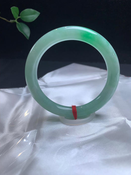 611703，55.8飘绿细圆条，9.7mm，满圈带绿底色 商品图5