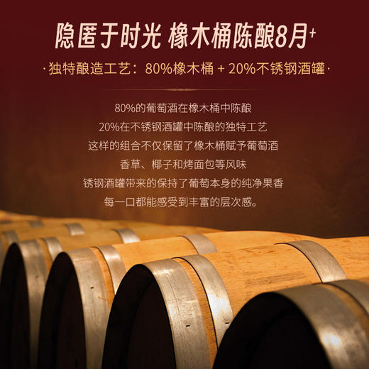 【菲利普·罗斯柴尔德男爵集团出品】红盾珍藏黑皮诺干红葡萄酒 智利迈坡谷 13%vol 商品图9