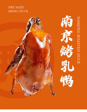 【南京大牌档】半只南京盐水鸭江苏特产盐水鸭卤味整只真空包装熟食