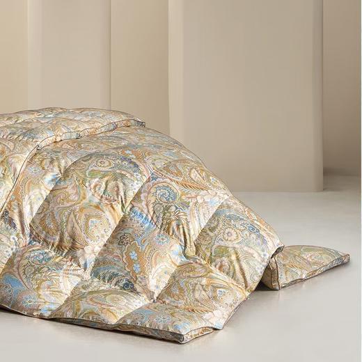 ROYALCOVER/罗卡芙  匈牙利鹅绒被兰特森林春秋被/冬被 商品图0